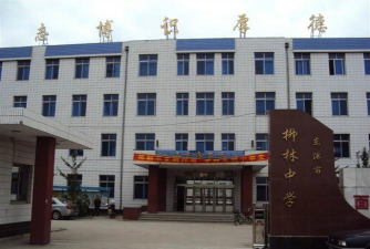 柳林镇柳林中学阅读区