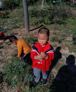 鱼台县王鲁镇王鲁村幼儿园