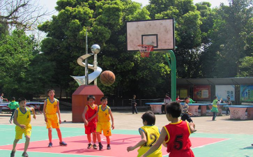 高坪区会龙镇第二小学