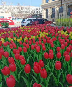 甘肃省定西地区幼儿园