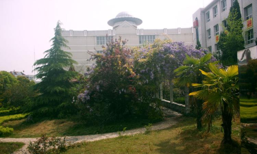 仙踪中学阅读区