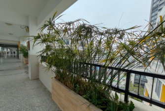 福建省福州市洋下东升幼儿园阅读区