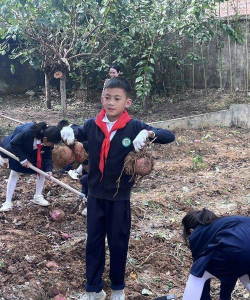 重庆市沙坪坝区矿山坡小学校