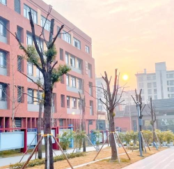 重庆市沙坪坝区石井坡小学