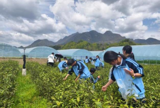 西乡县高川镇初级中学