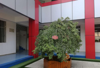 碑林区永宁小学