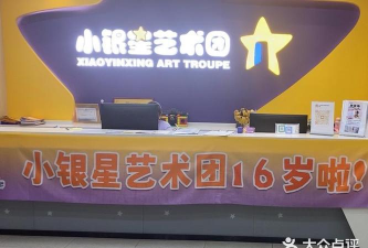 南京小银星艺术培训有限公司河西大街分公司