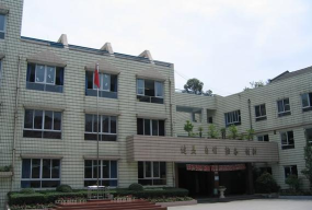 成都和平街小学