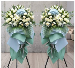 西向镇西向一中阅读区