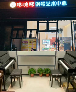 杭州哆来咪琴行有限公司