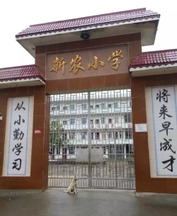 临夏市南龙镇新农小学