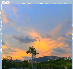 厦门大学嘉庚师范学院