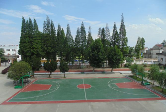 望江县杨湾镇丰大中学