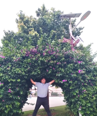 盈江县旧城民族中学阅读区