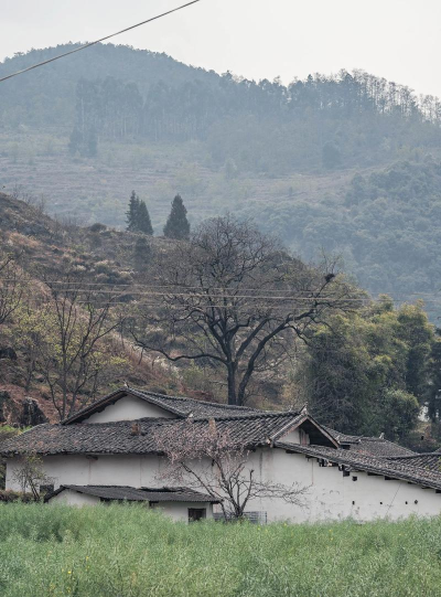 四川省会理县太平中学