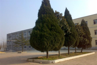 息县小茴镇第二初级中学