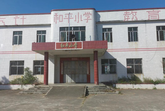 佛山马冈小学