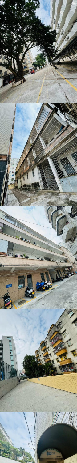 湛江市吴川市第一中学(吴川一中 )