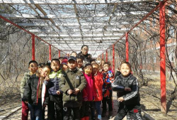 阿城市龙涤小学