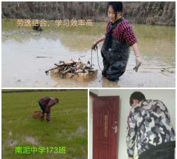 洞口县高沙镇南泥初级中学