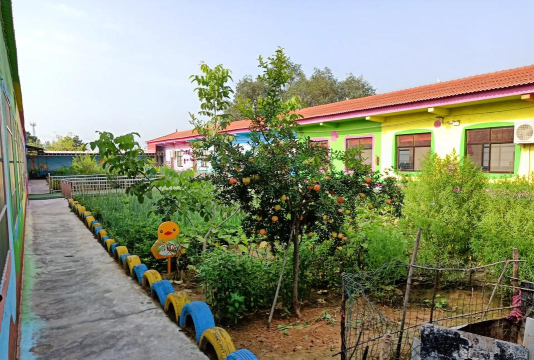 宾阳县宾州镇苗苗幼儿园