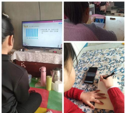 柳河县红石镇中心校