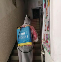 封开县杏花镇朝阳幼儿园