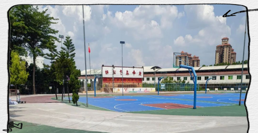 东莞市常平新朗实验学校