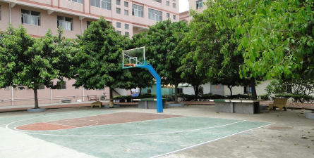 东莞市大朗东明学校