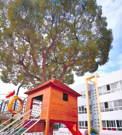 峰江镇白枫岙小学幼儿园