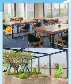 鄞县下应镇笑笑幼儿园