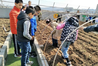 临河区实验农场小学