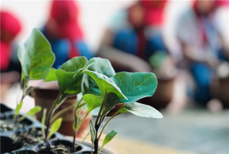 平乡县丰州镇北牌小学