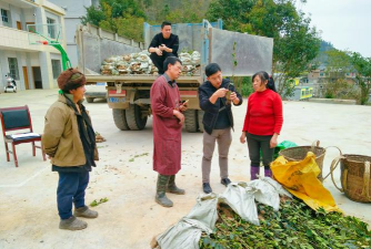 东阳市八达乡八达村女芳幼儿园