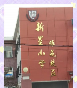 天津市南开区新星小学