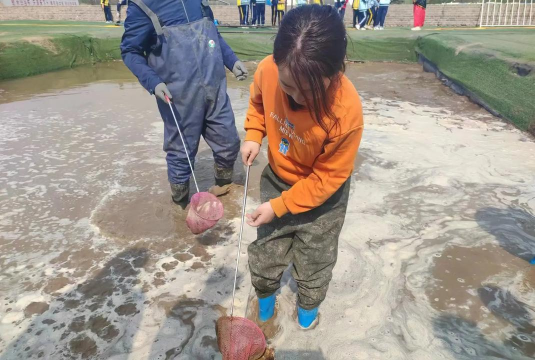 北京市门头沟区城子小学
