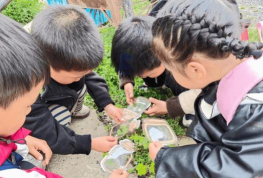 嘉定区曹王中心幼儿园