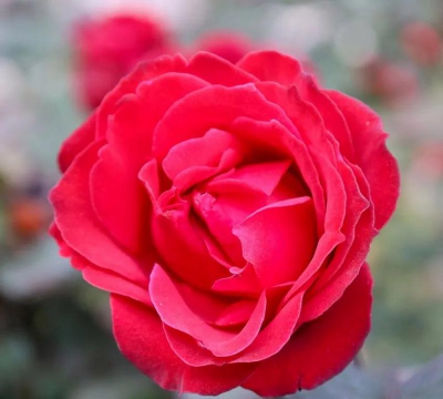 太钢集团临汾钢铁有限公司生活服务中心二区