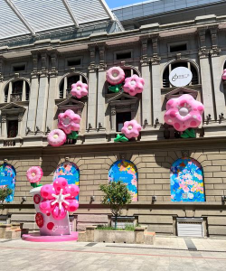 迪蒽捷贝奇（天津）幼儿园阅读区