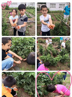 北京市丰台区看丹村中心幼儿园