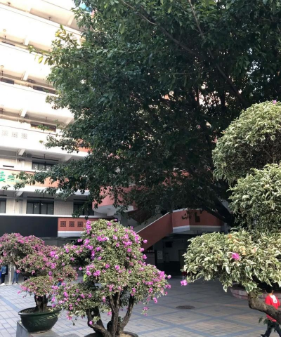 康有为纪念小学