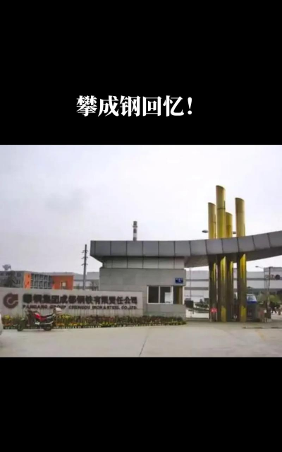 攀钢集团成都钢铁有限责任公司技工学校