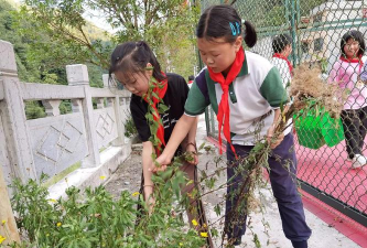 乐昌市沙坪镇茶园小学