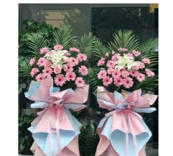 德江到青龙镇兴旺幼儿园