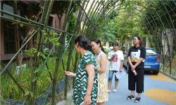 成都市实验小学附属幼儿园