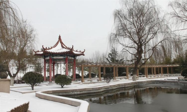 青岛市城阳第一高级中学