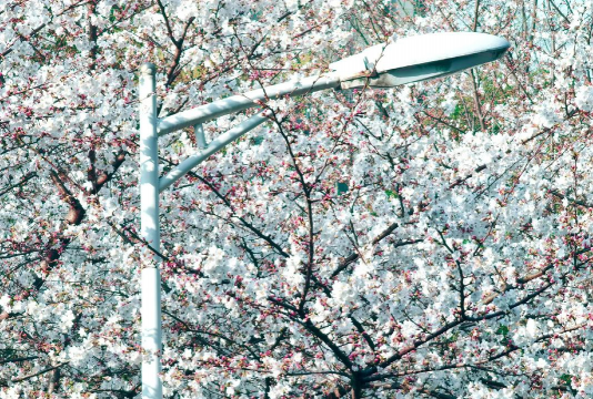 杭州萧山技师学院