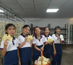 佛山市禅城区石湾第三小学