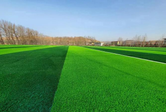 佛山市顺德区乐从颖林水藤学校