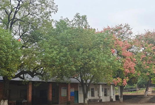 文峰区大营小学